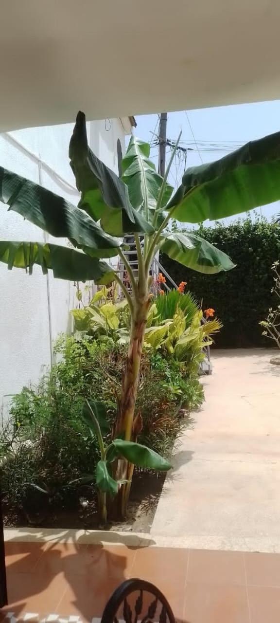 Riad côté jardin Saly Exterior foto